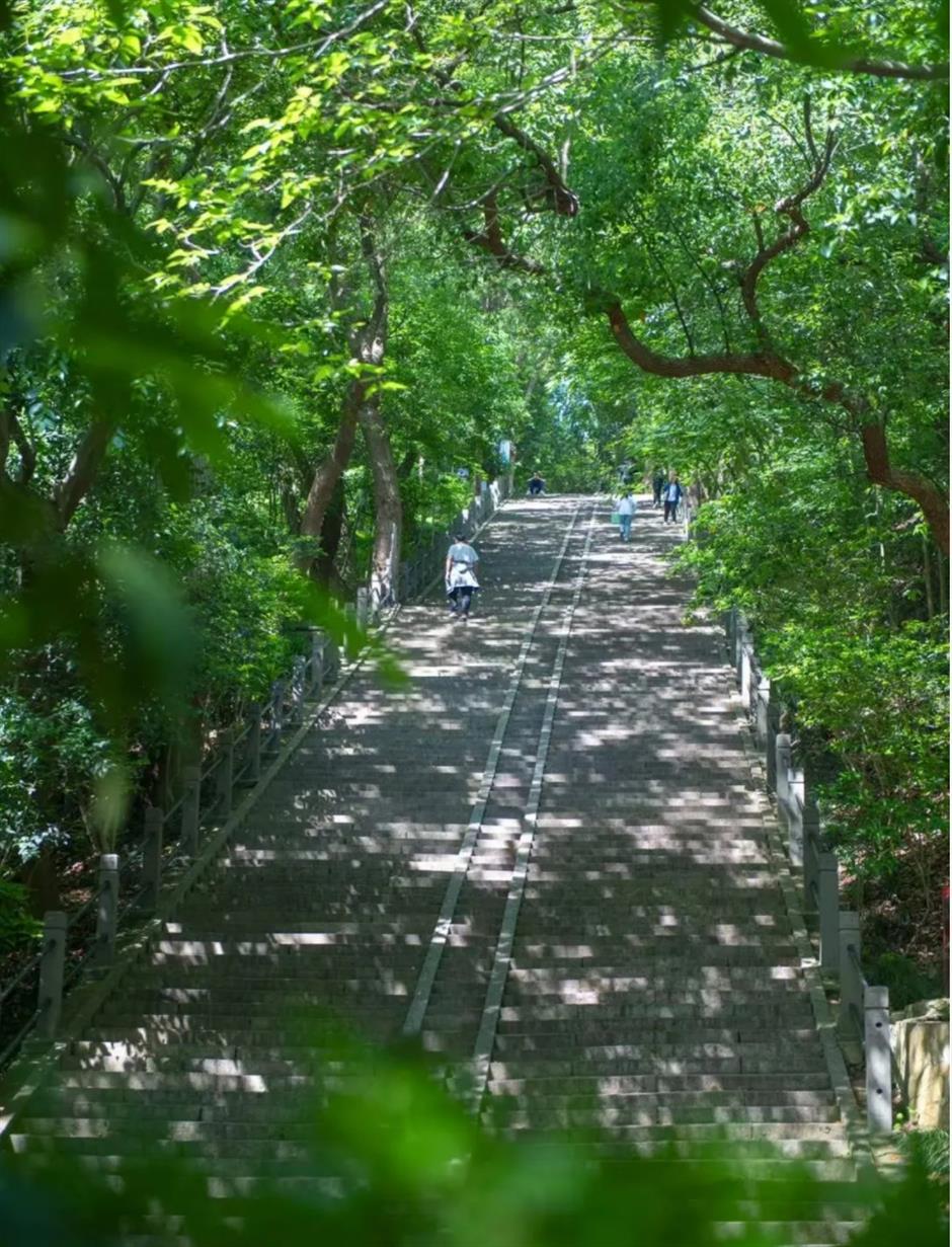 五一去哪玩跟着旅游定制公交开启松江两日游,三日游!