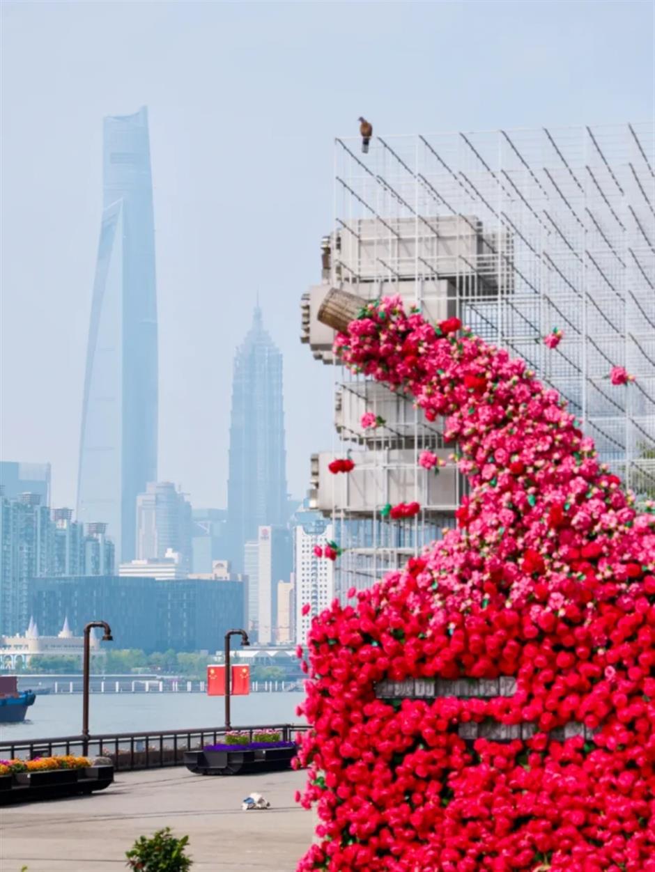 上海這幾處月季花海,承包你的浪漫假期!