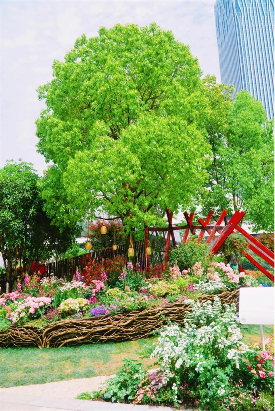 假期必打卡!上海花展,也太好拍了