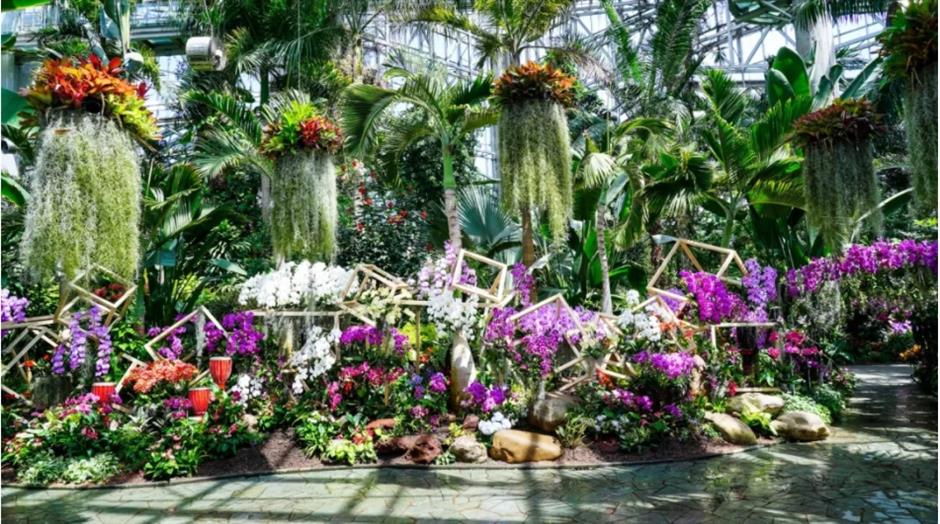 假期必打卡!上海花展,也太好拍了