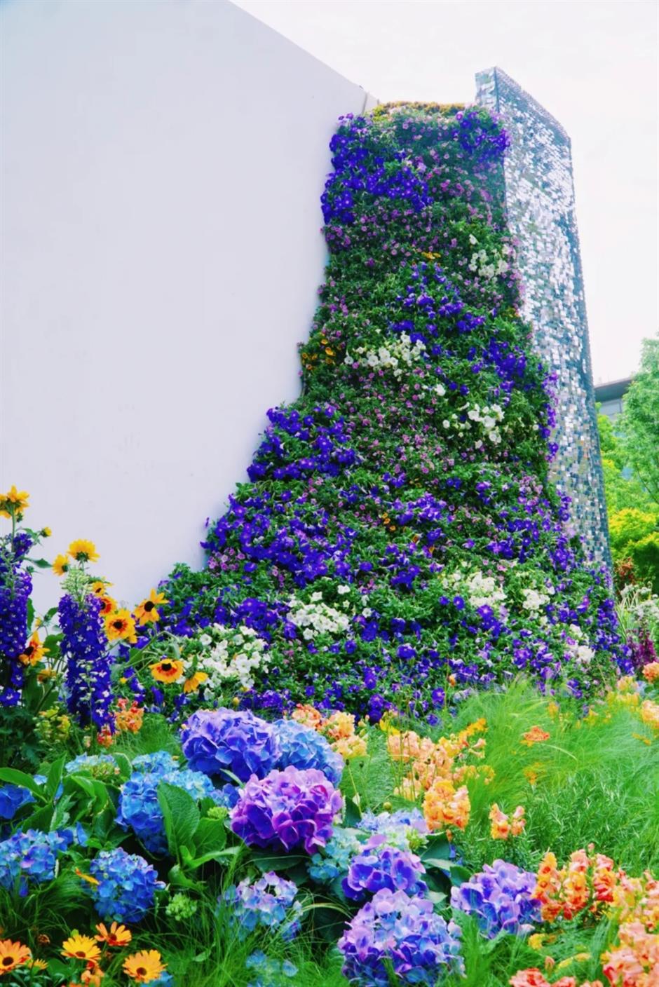 假期必打卡!上海花展,也太好拍了