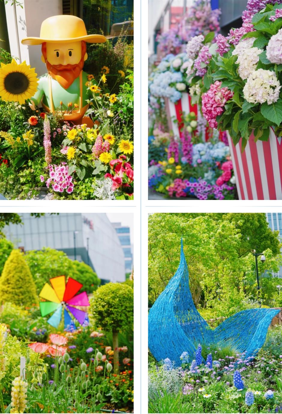 假期必打卡!上海花展,也太好拍了