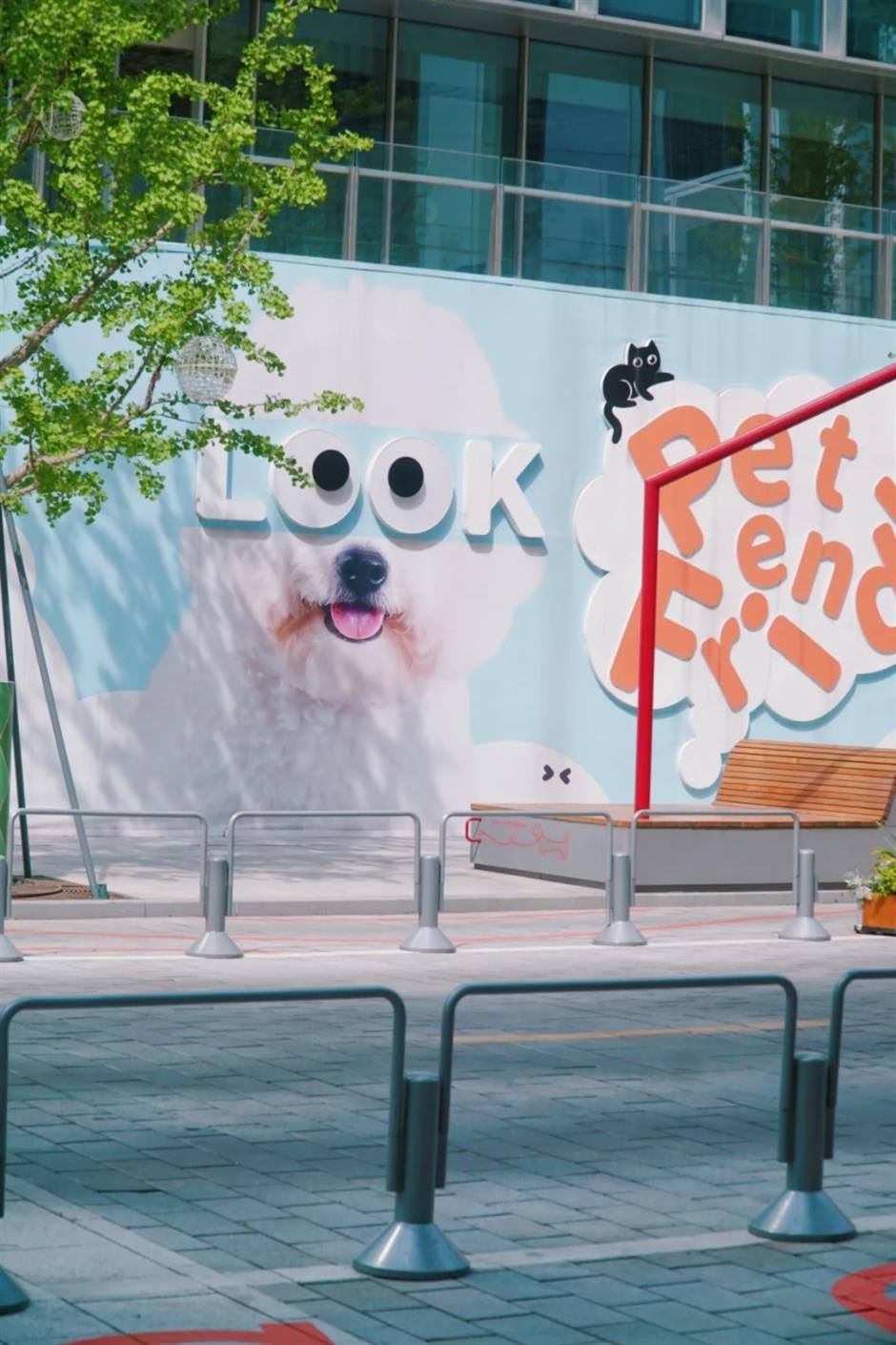 假期必打卡!上海花展,也太好拍了