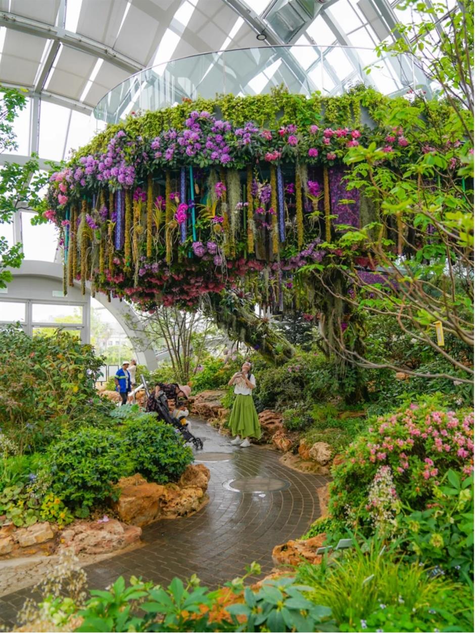 假期必打卡!上海花展,也太好拍了