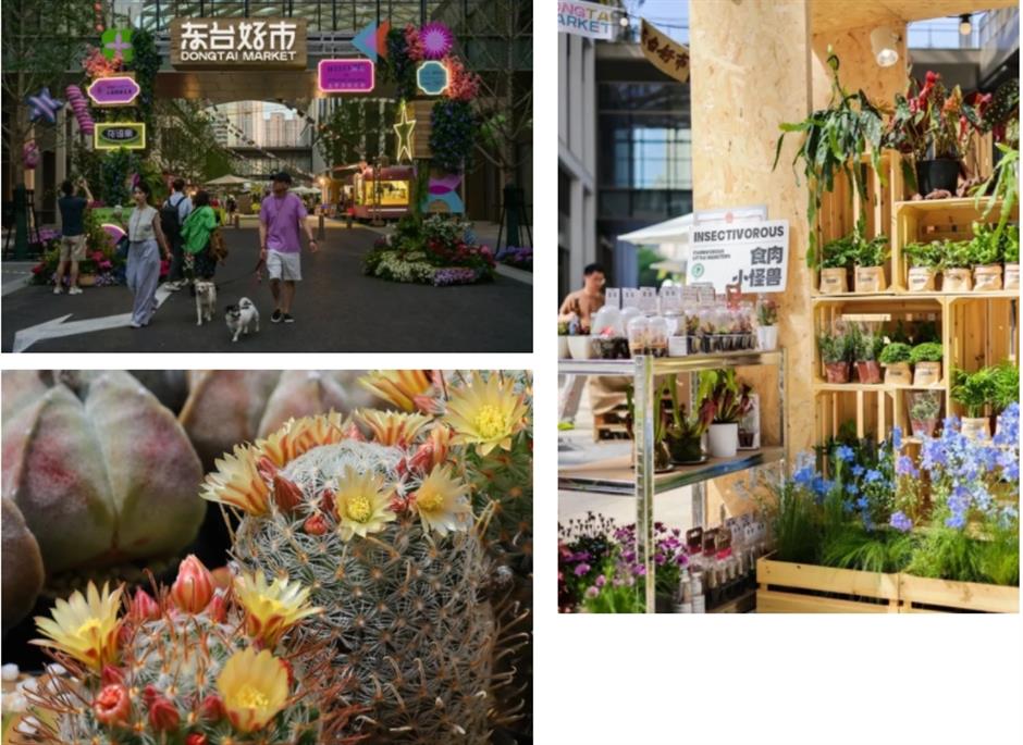 假期必打卡!上海花展,也太好拍了