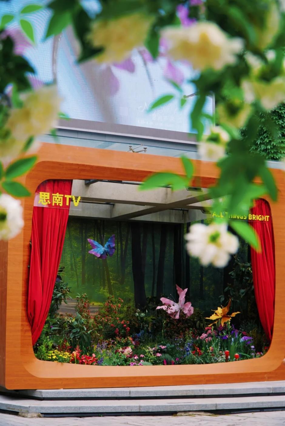 假期必打卡!上海花展,也太好拍了