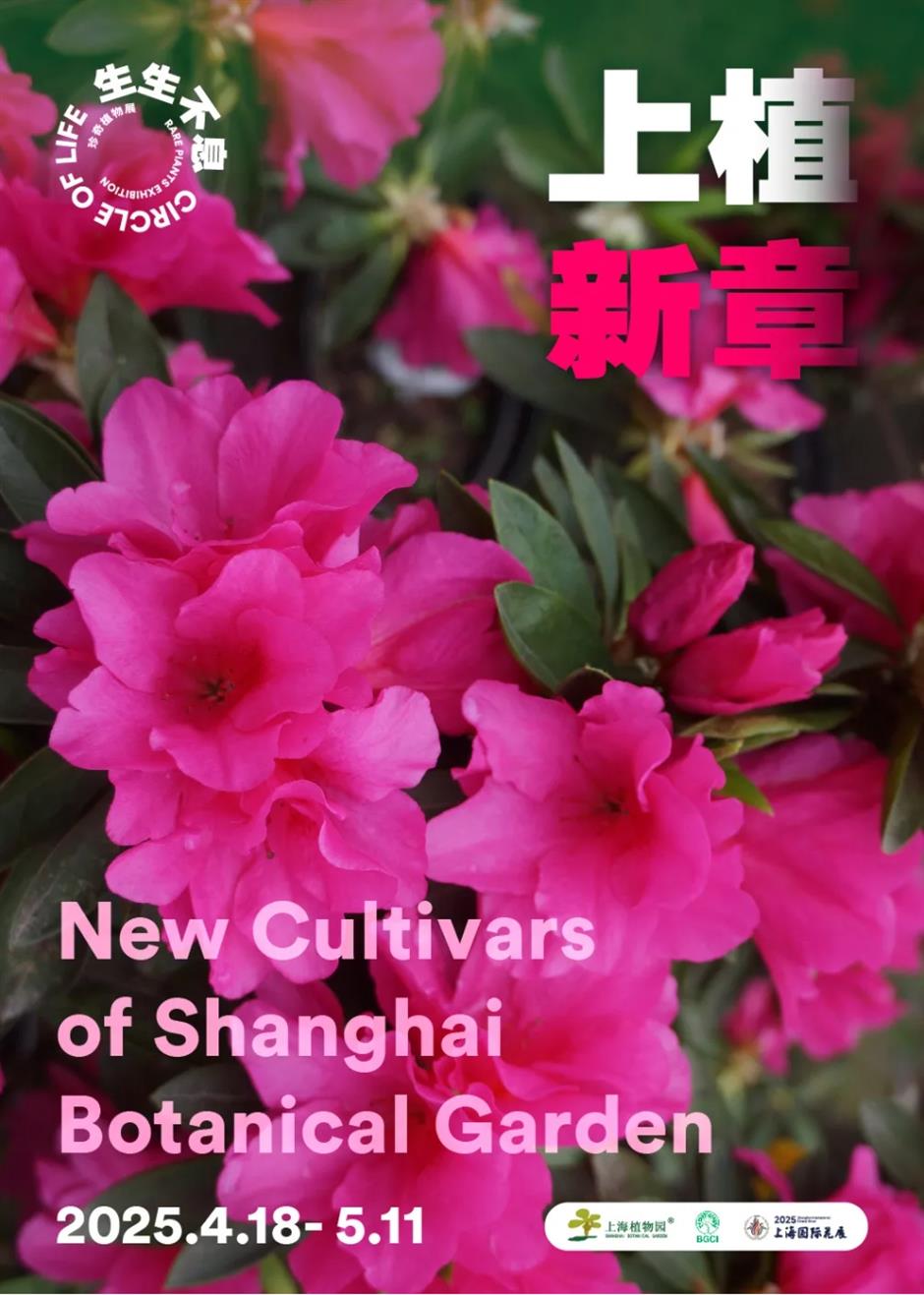 假期必打卡!上海花展,也太好拍了