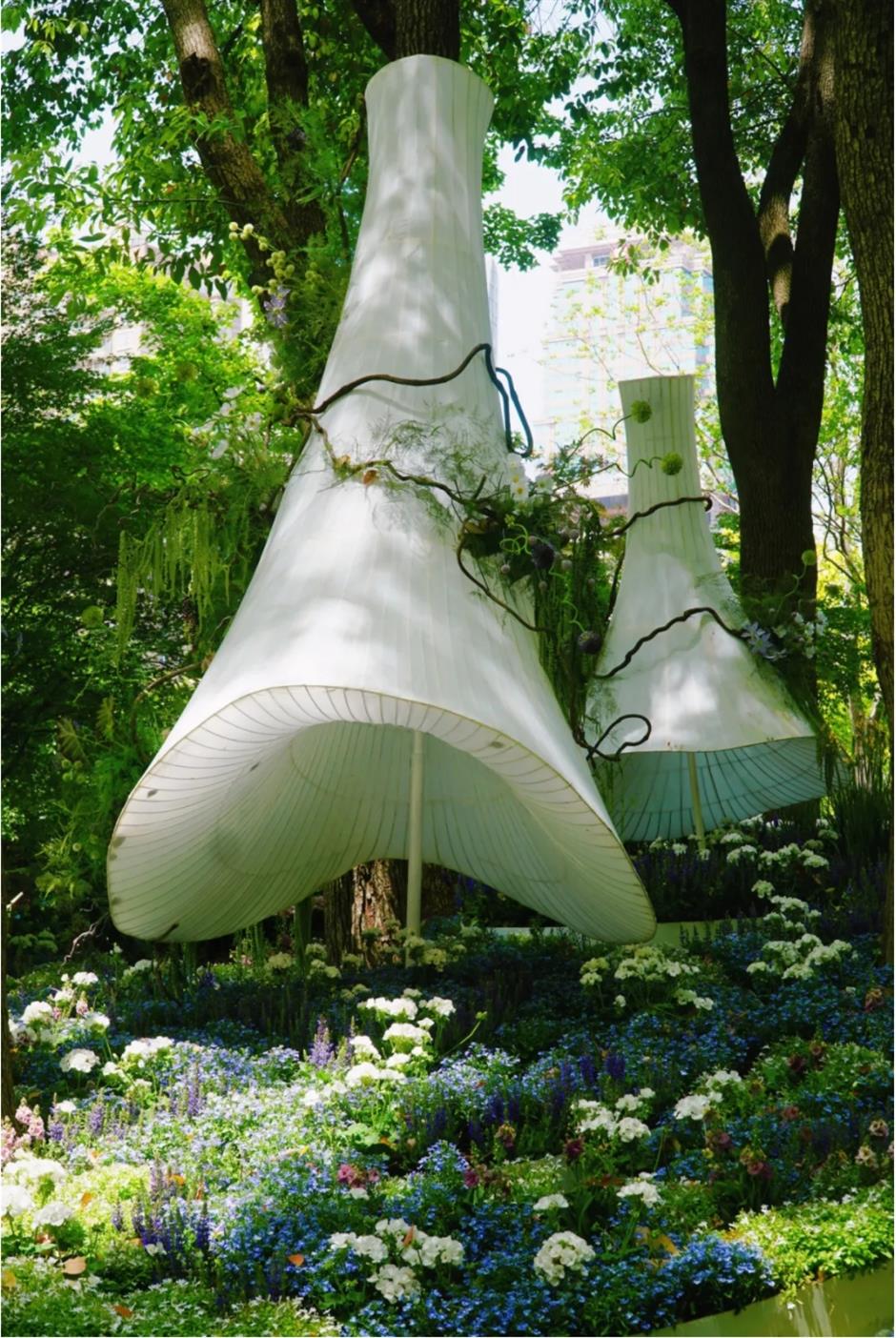 假期必打卡!上海花展,也太好拍了