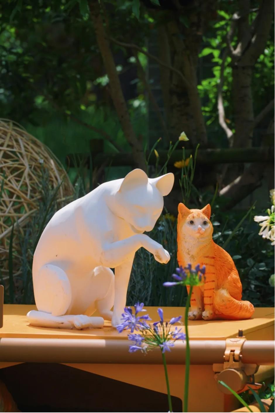 假期必打卡!上海花展,也太好拍了