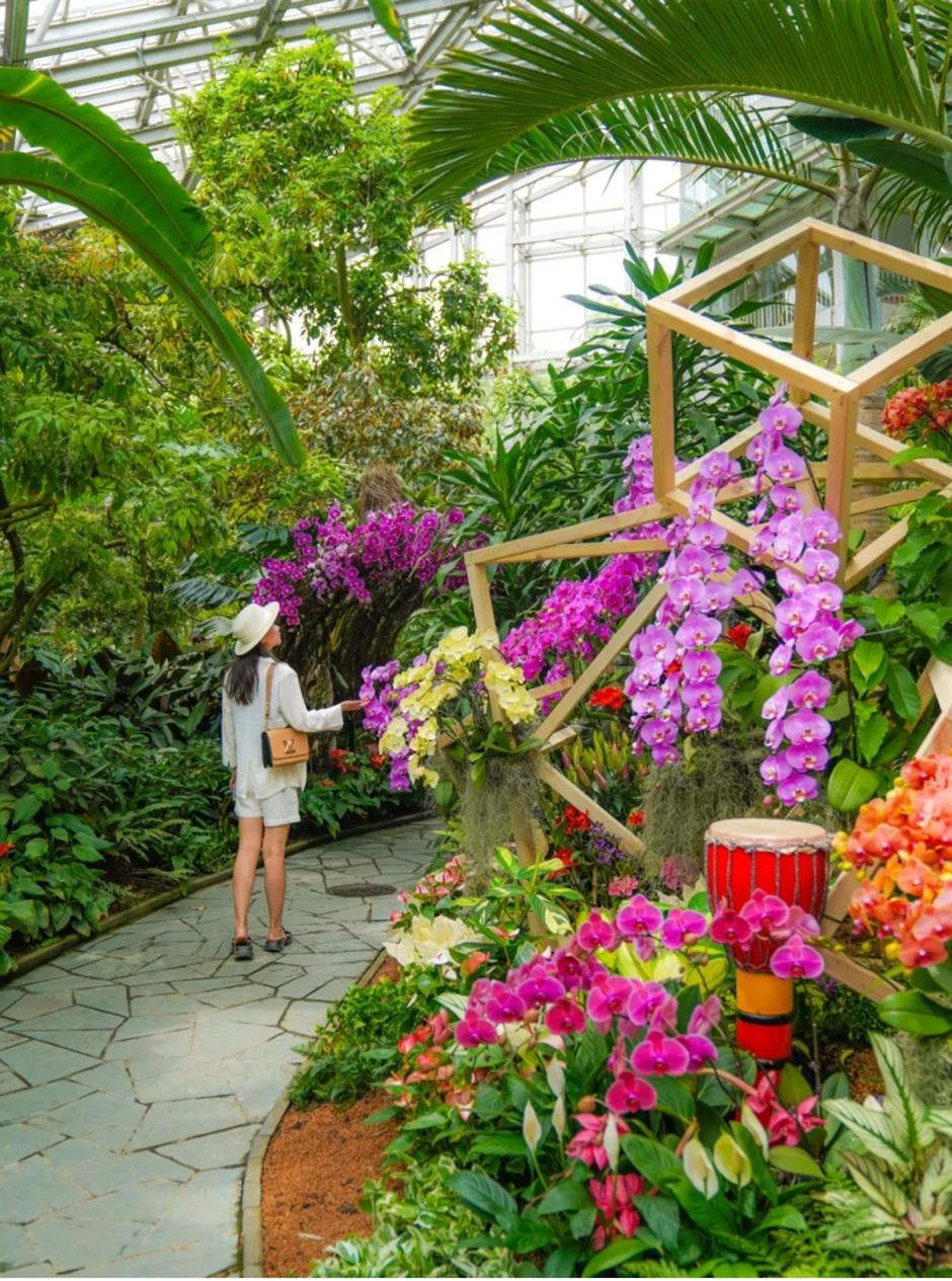 假期必打卡!上海花展,也太好拍了
