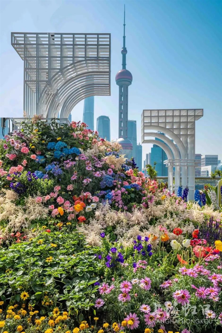 北外滩上新、草地音乐节、国潮火焰秀......本周文旅生活指南→