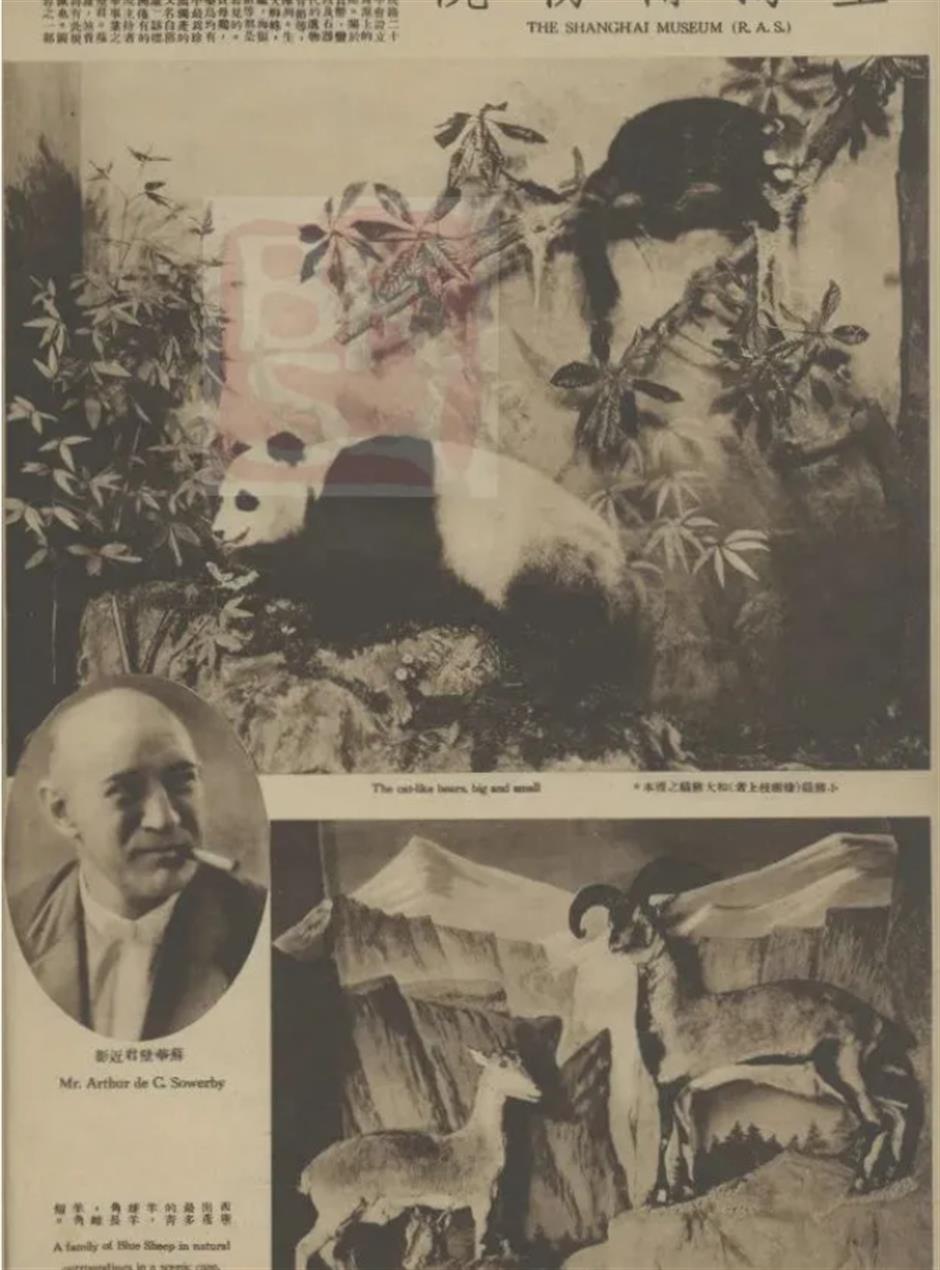 即日起这幢老建筑免费开放!解锁外滩百年建筑里的艺术盛宴