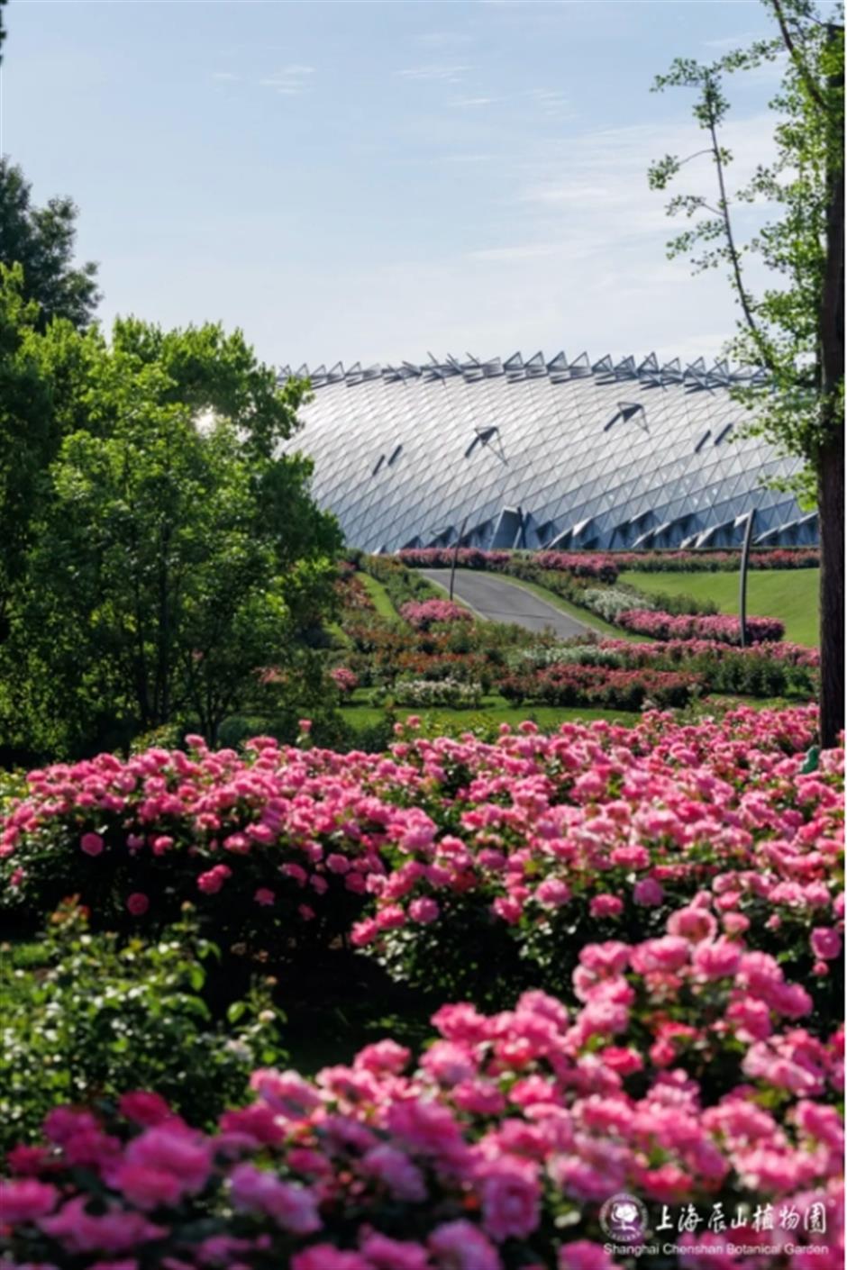 名單來了!中國旅遊日,上海56家景區(點)限時門票半價