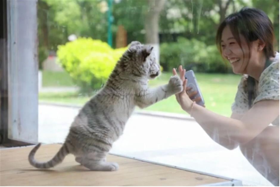 名單來了!中國旅遊日,上海56家景區(點)限時門票半價