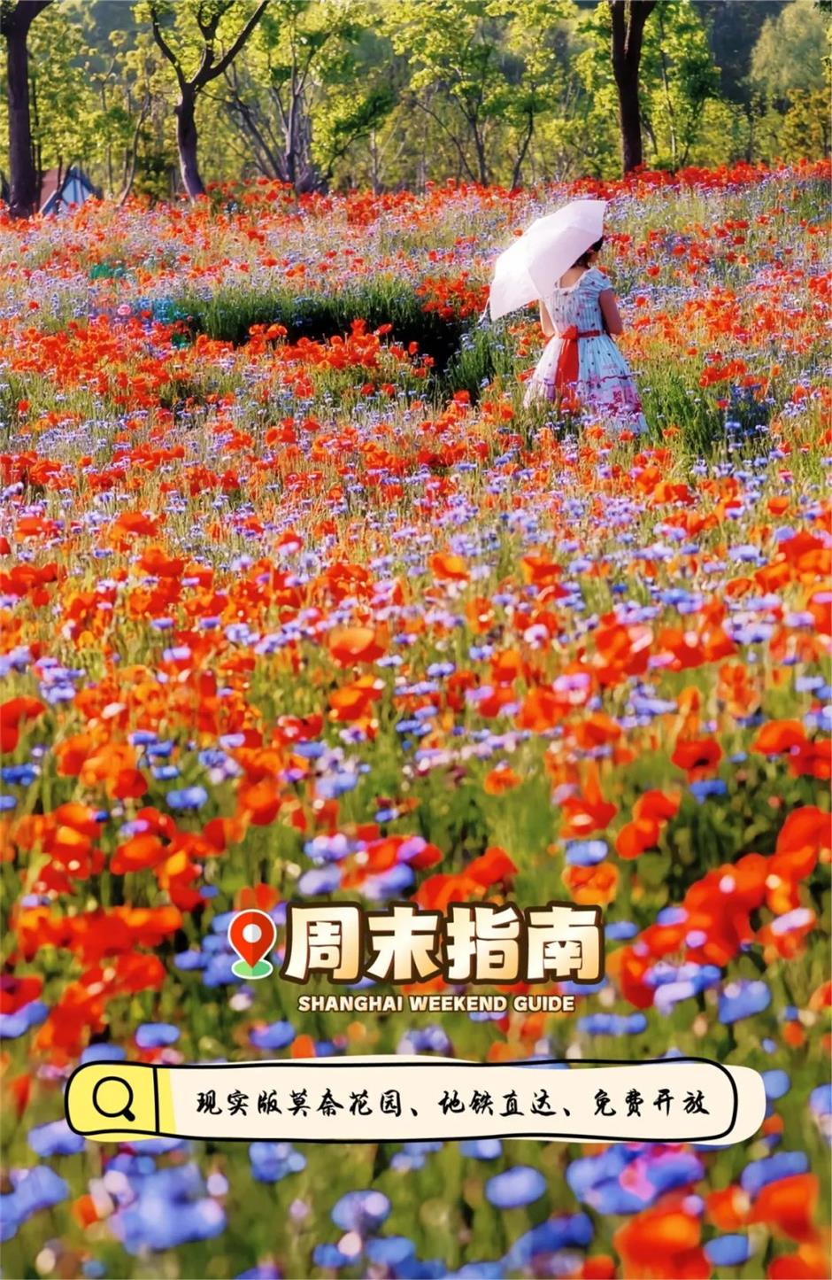 地铁直达!免费!上海这里竟然藏着1.5万平米莫奈花园+小众宝藏展馆