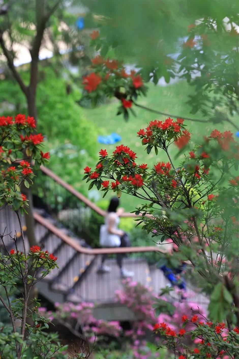 絕了!上海絕美小山坡!景美人少→