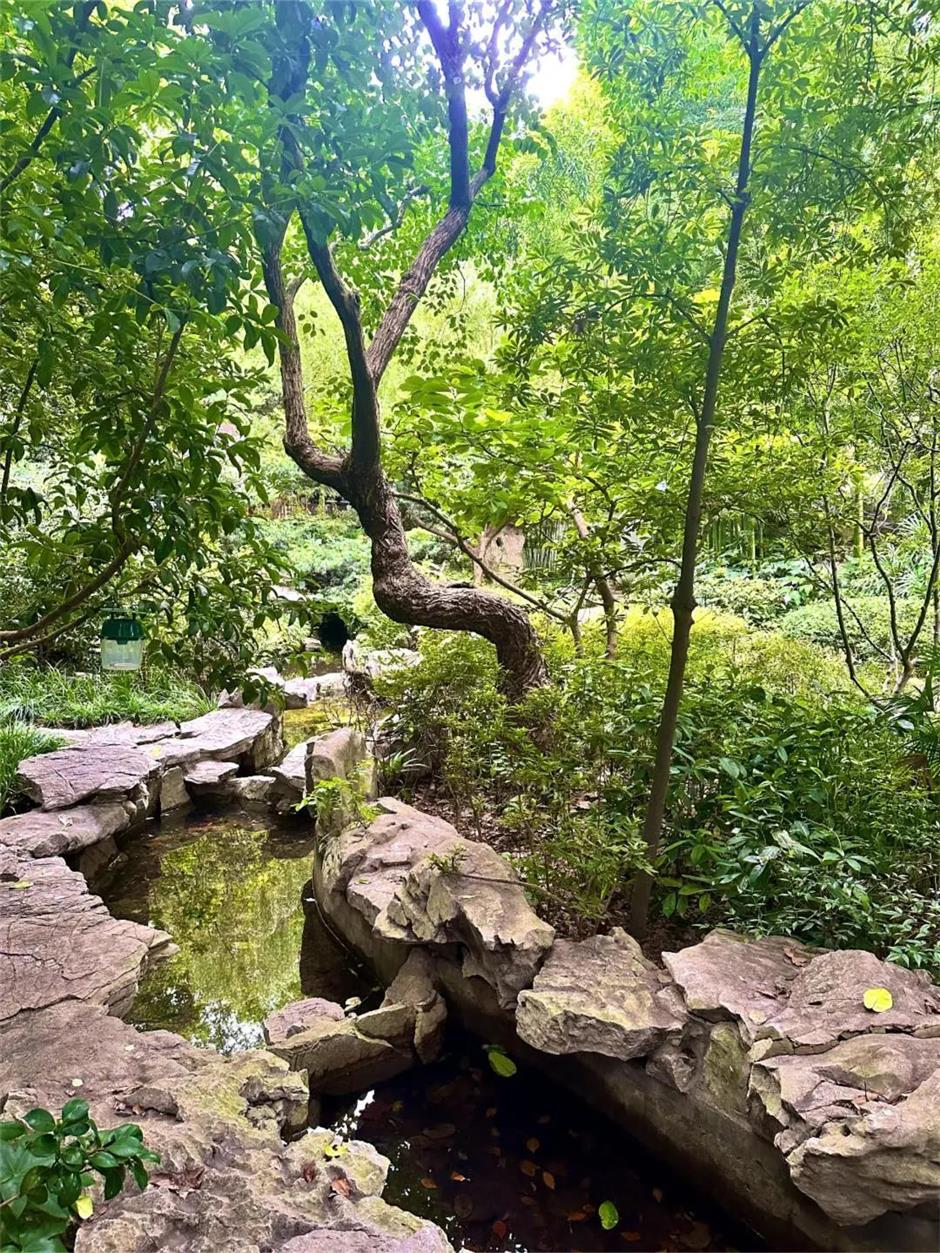 絕了!上海絕美小山坡!景美人少→