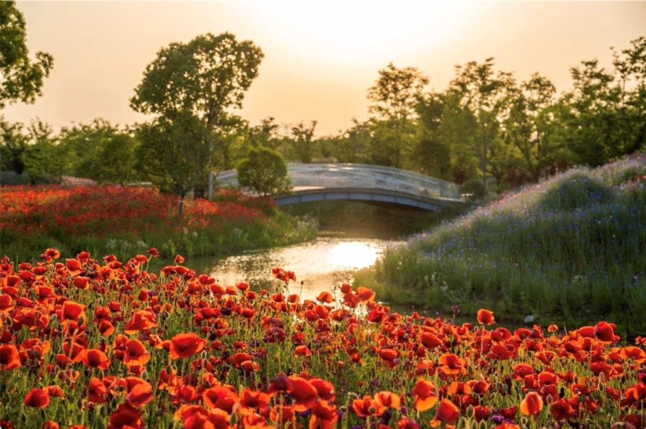 一鍵收藏!
2025年