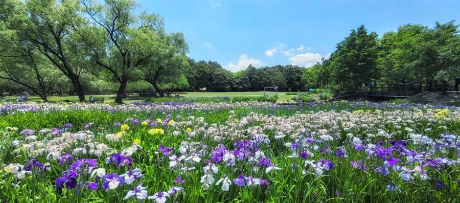 一鍵收藏!
2025年