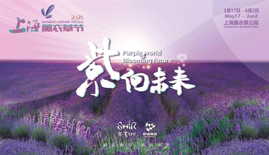 一鍵收藏!
2025年