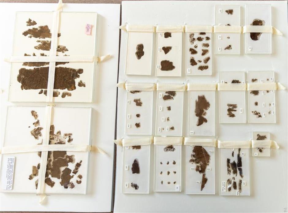 US museum returns to China ancient silk manuscripts from Warring States period