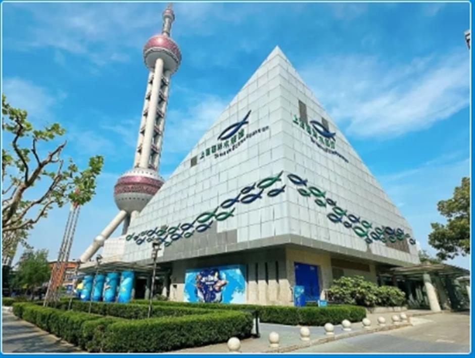 限时活动开启!来场