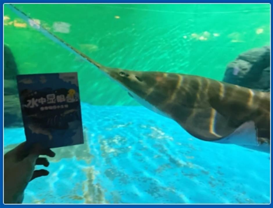 限时活动开启!来场