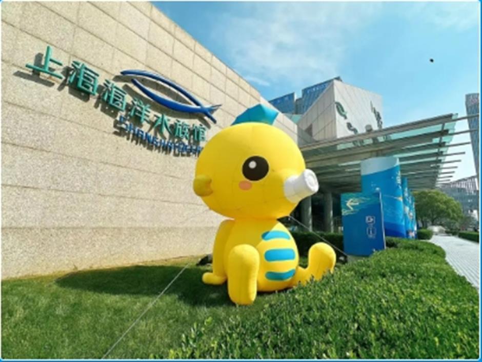 限时活动开启!来场