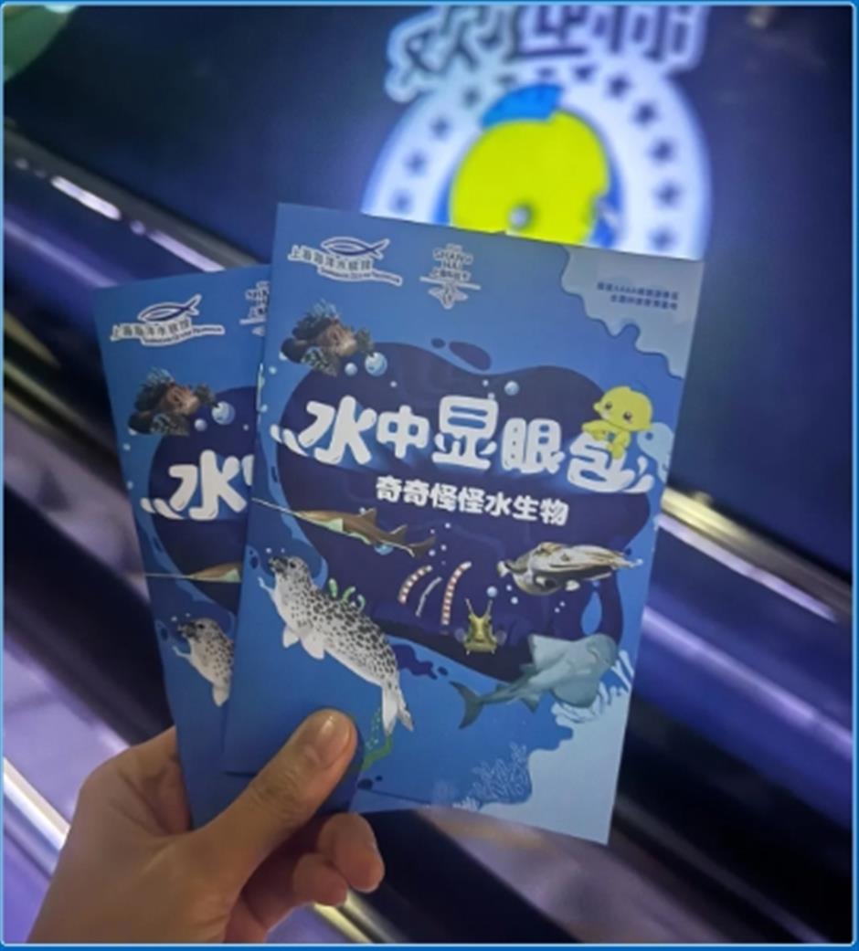 限时活动开启!来场