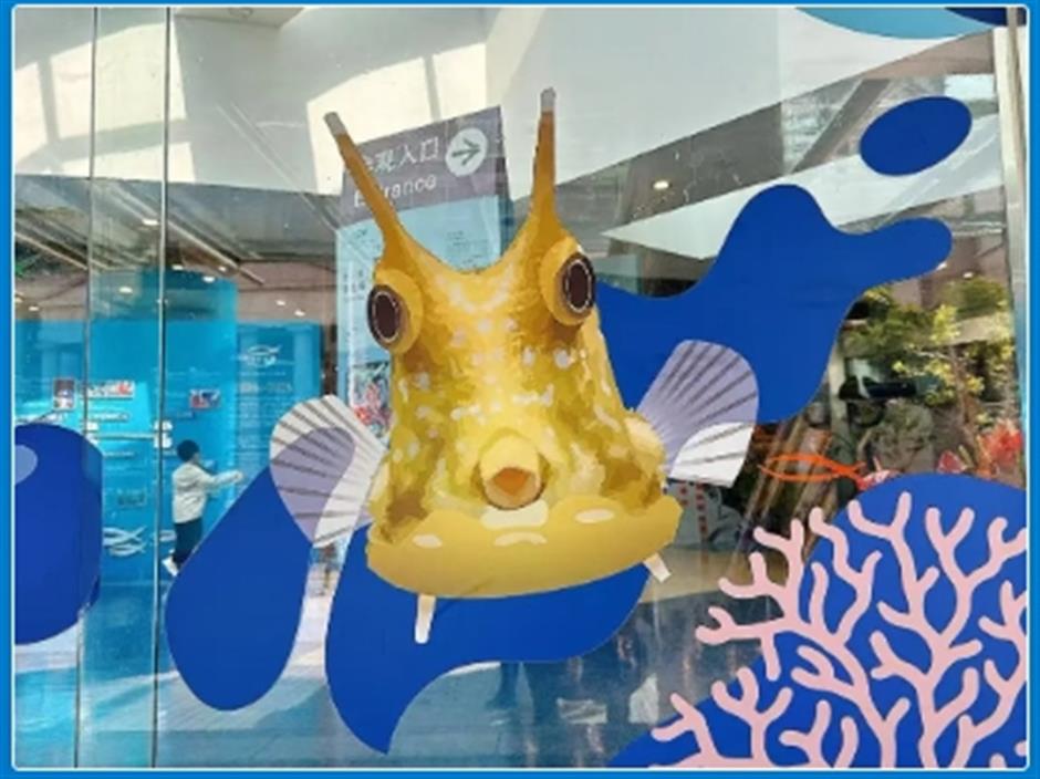 限时活动开启!来场