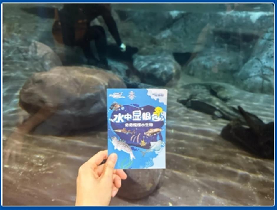 限时活动开启!来场