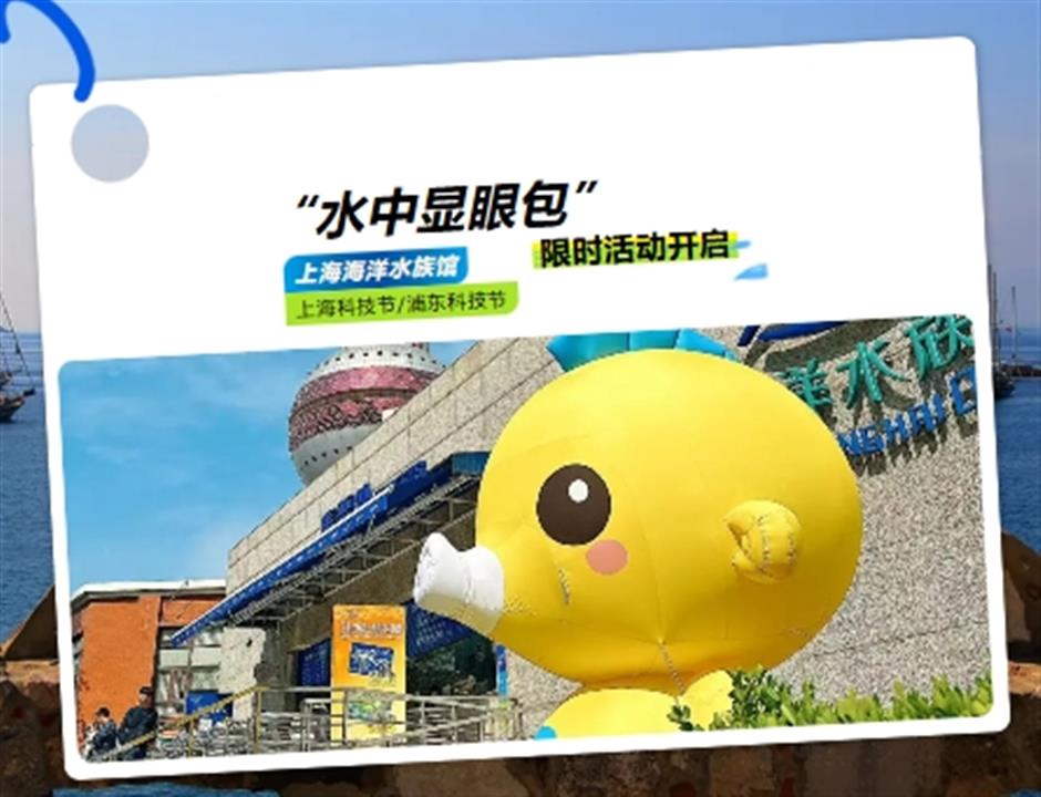 限时活动开启!来场