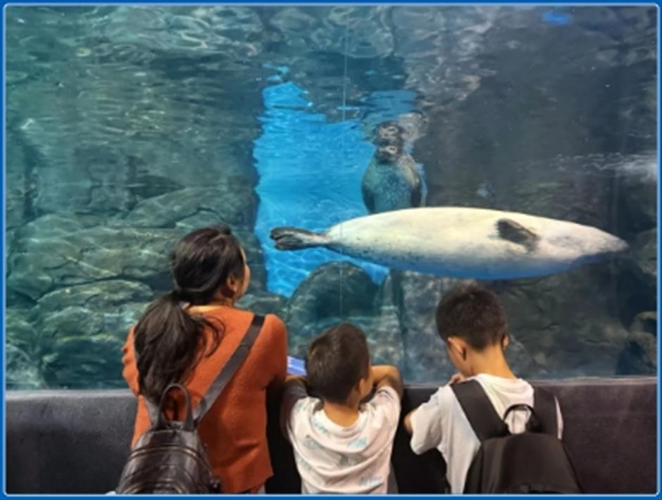 限时活动开启!来场