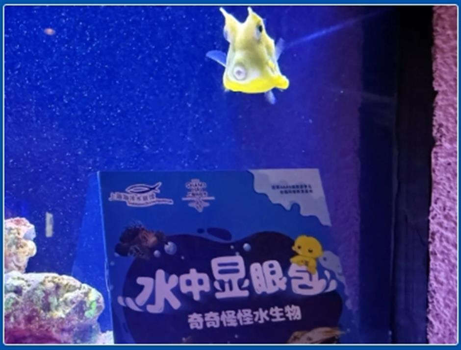 限时活动开启!来场