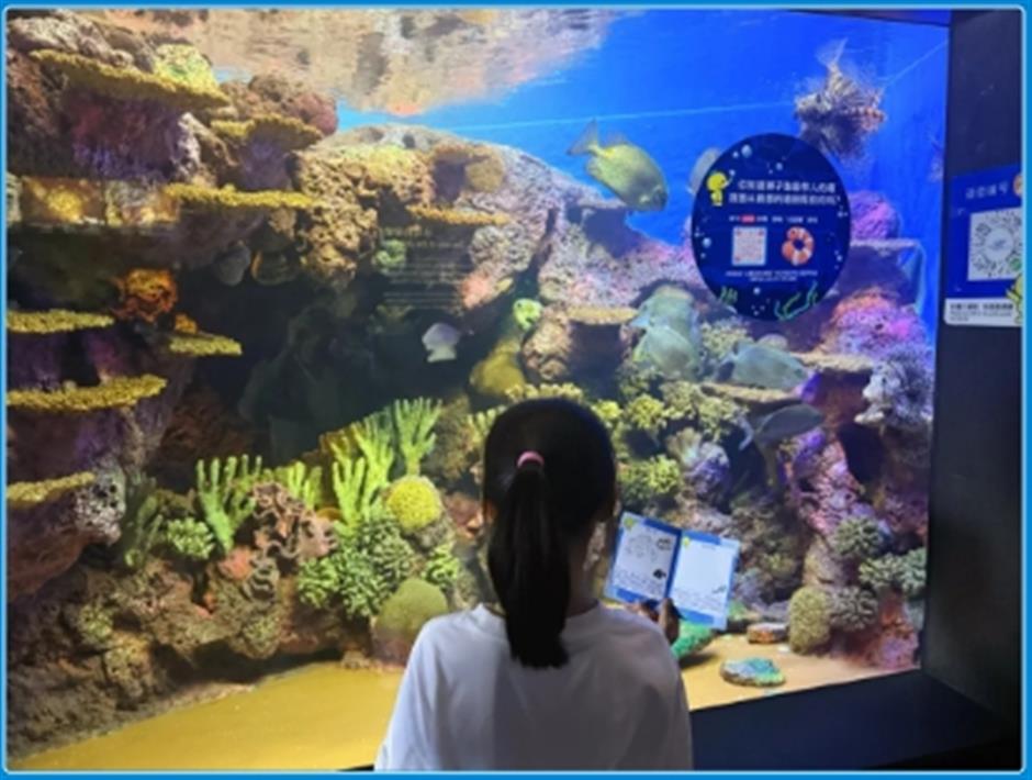 限时活动开启!来场