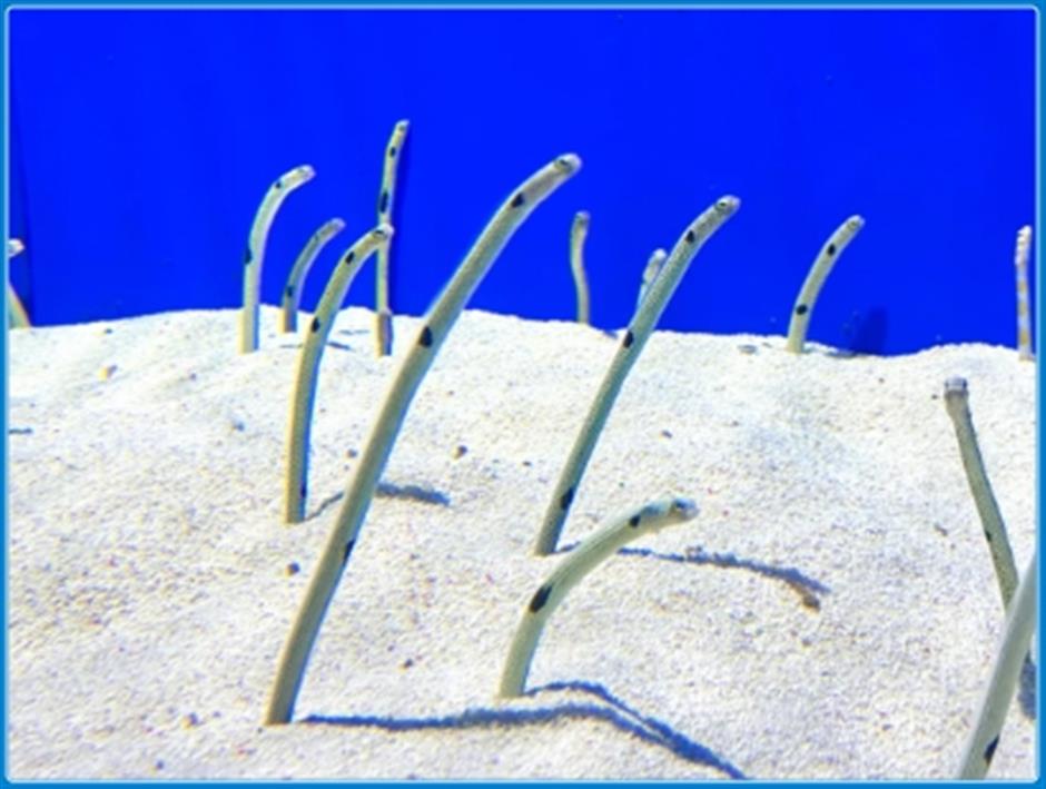 限时活动开启!来场