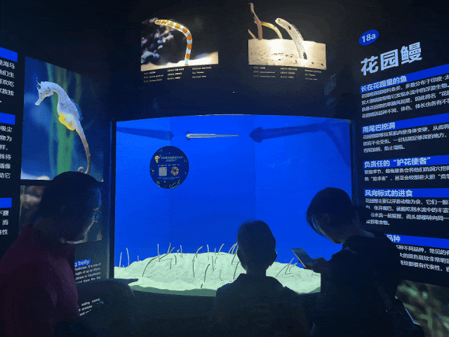 限时活动开启!来场