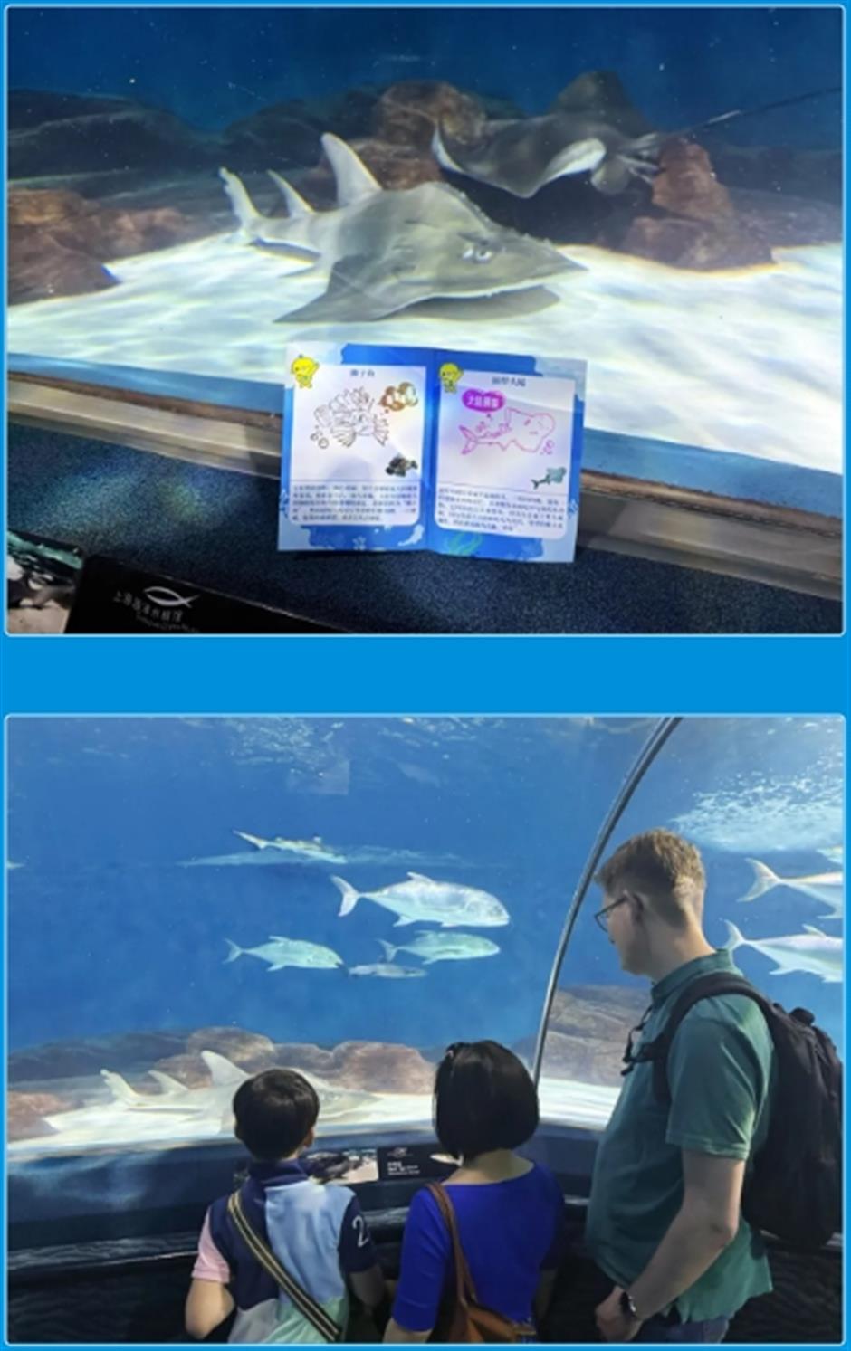 限时活动开启!来场