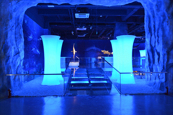 2025《上海市博物馆美术馆通票》重磅归来