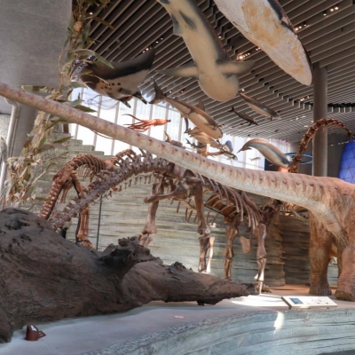 Giants from the past gather at Natural History Museum