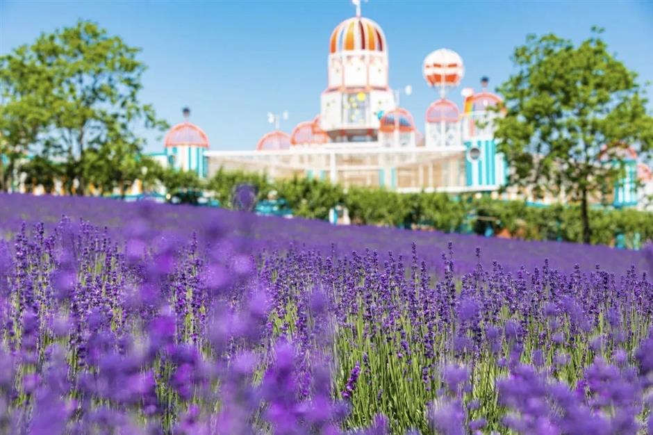 Summer's fun at Shanghai International Resort