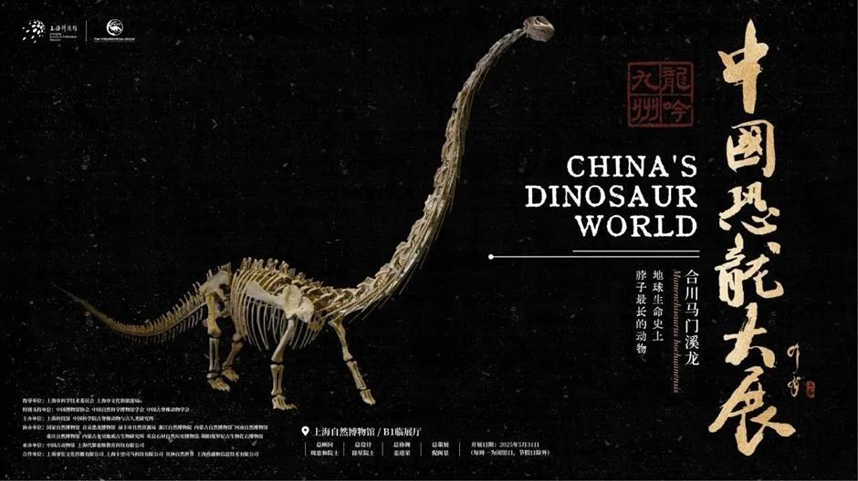 118件标本!中国恐龙大展重磅开幕!