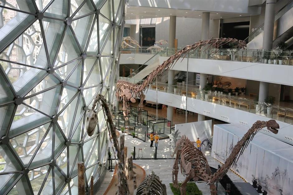 118件标本!中国恐龙大展重磅开幕!