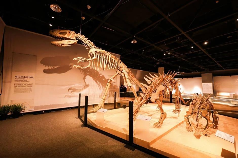 118件标本!中国恐龙大展重磅开幕!