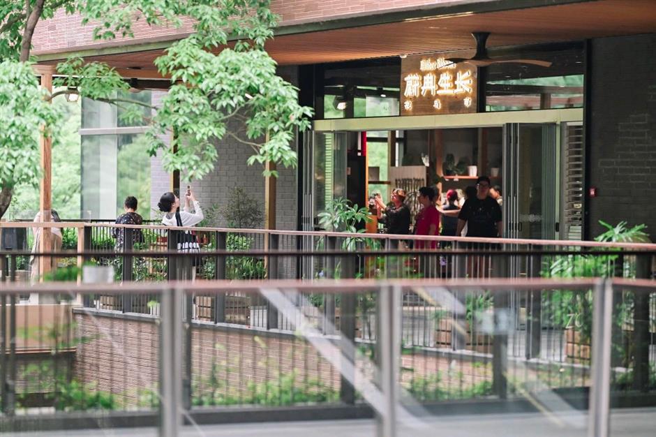 最新开放!花鸟市场重回上海市中心