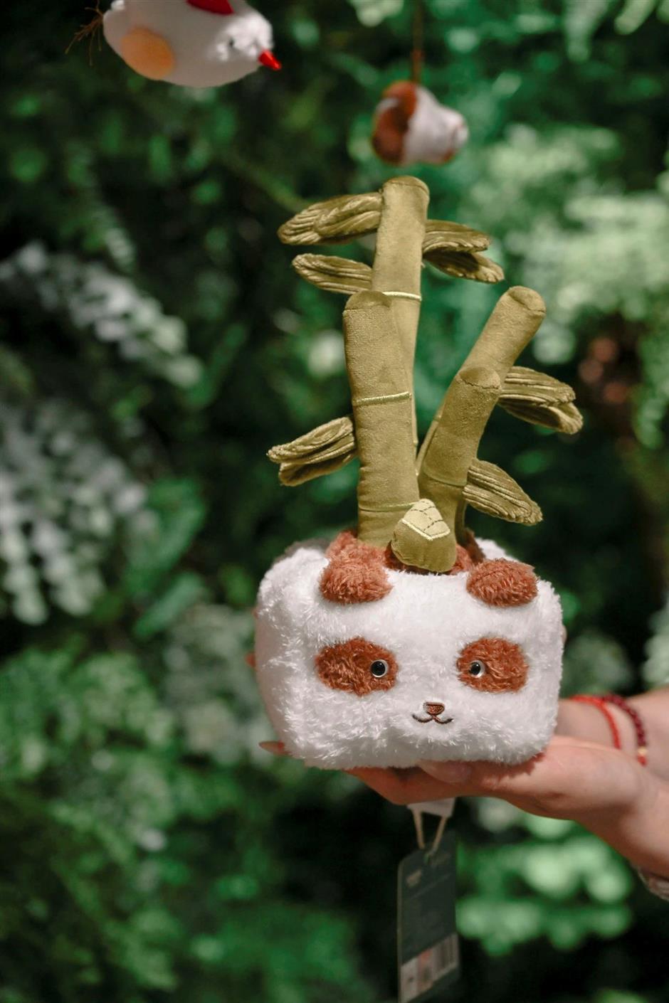 最新开放!花鸟市场重回上海市中心