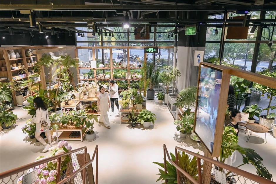 最新开放!花鸟市场重回上海市中心