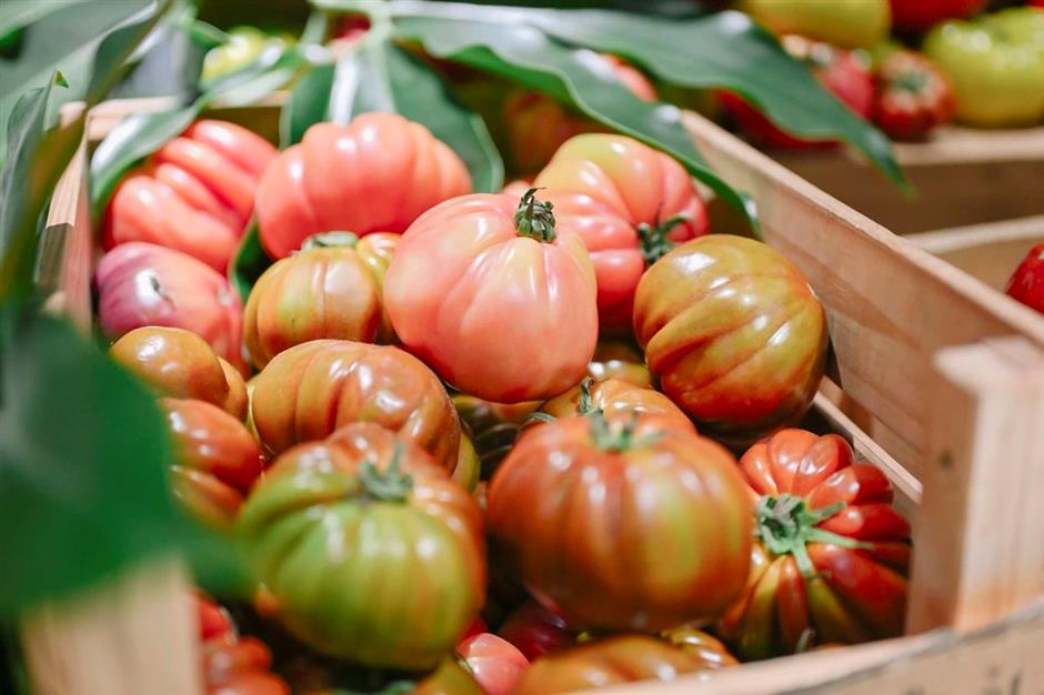 最新开放!花鸟市场重回上海市中心