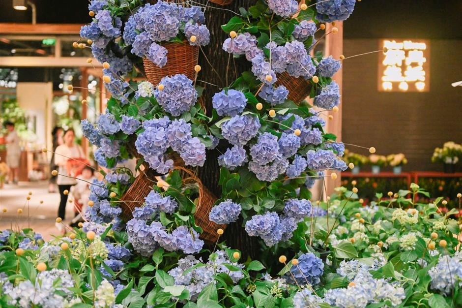 最新开放!花鸟市场重回上海市中心