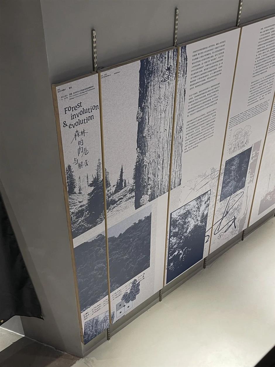 最新开放!花鸟市场重回上海市中心